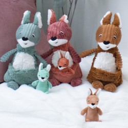 Kangaroo mom and baby family