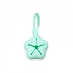 Silicone Pacifier Case Mint Star