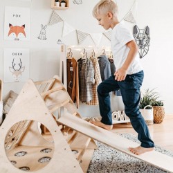 Pikler Triangle Play Gym & Slide