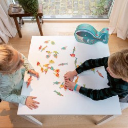 Find-A-Fish Colour Matching Game by Scratch Europe